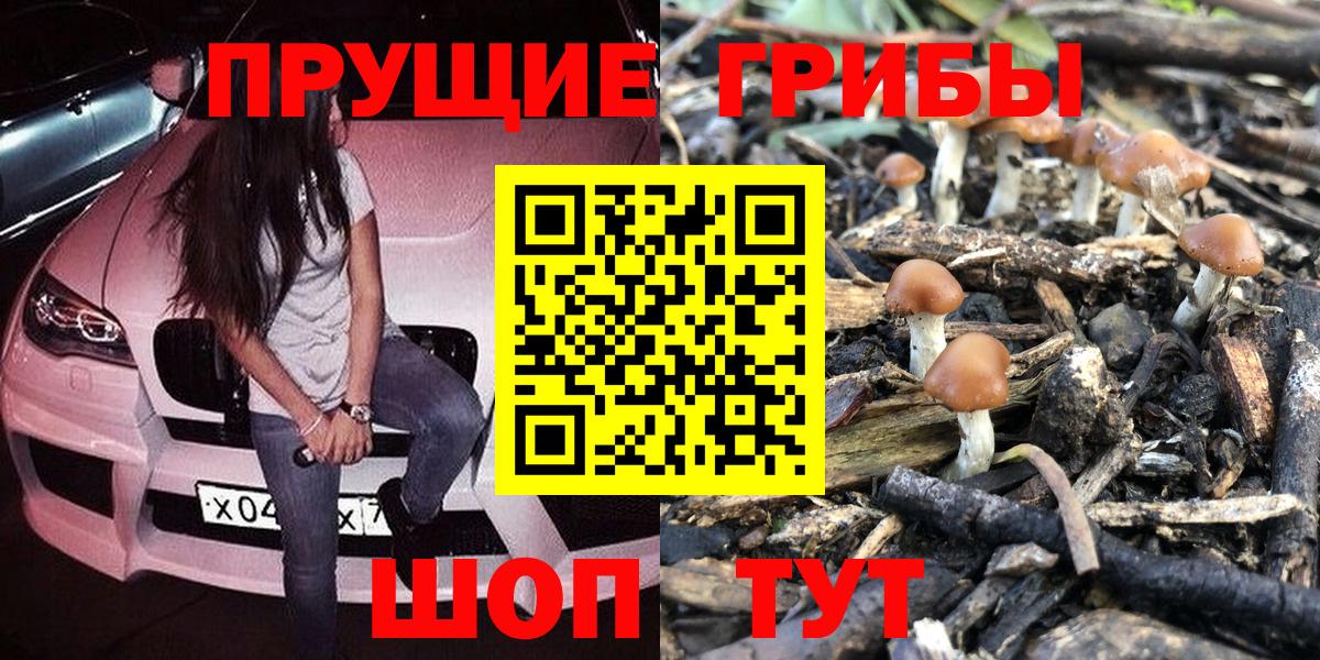 Галлюциногенные грибы GOLDEN TEACHER  Вход с VPN  Биробиджан 